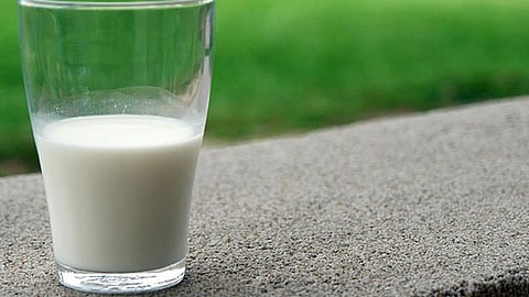 Samples of milk, cooking oil, and even animal feed and water have been sent to laboratories in Vijayawada, Visakhapatnam, and Hyderabad. 