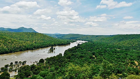 Kaveri river 