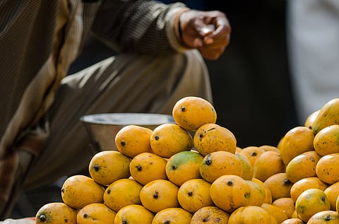 Goodness of mango in a nutshell 
