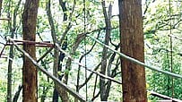 Kovai Courtallam
