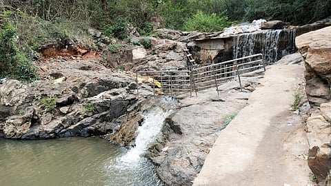 Located in the Thuraiyur forest range in Tiruchy, Mangalam Falls is renowned for its perennial water flow.

