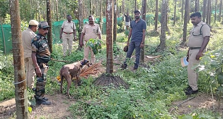 Image of a team of forest staff used for representational purposes only.