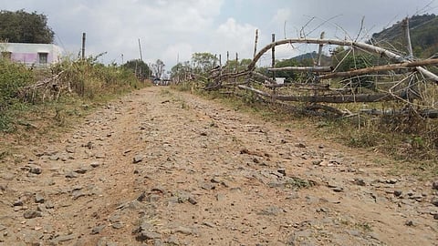 The forest department is gearing up to construct a new tar road at a cost of Rs 13 crore to Solaganai tribal village in Bargur hills of Erode district. 
