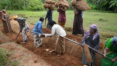 Under VB-G RAM-G, 318 categories of work have been permitted under four broad themes.
