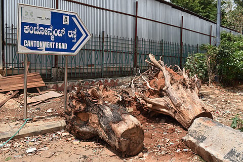 Due to ongoing commercial construction at Cantonment Railway Station in Bengaluru, several trees have been cut down. 