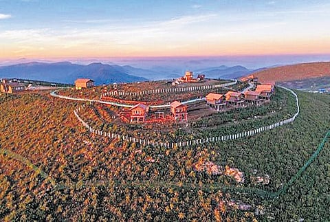 Cottages built on the ecologically sensitive plateau atop Deomali 