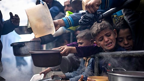 Acute hunger in Palestine
