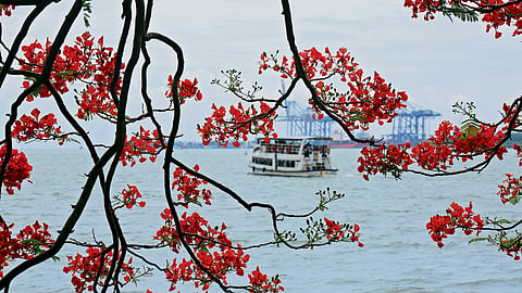 Marine Drive 