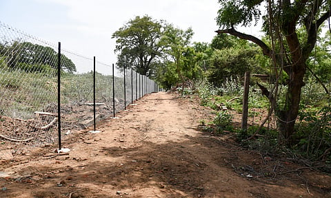 Fencing undertaken at the urban forest site near Butterfly Park in Tiruchy
