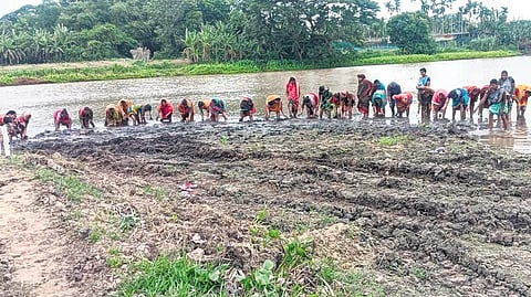 Reviving 32 acre of Balia river bed at their village was their first major work. They removed pollutants, cleaned it and restored its natural environment within a period of 20 days. 