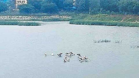 Vibhutipura Lake