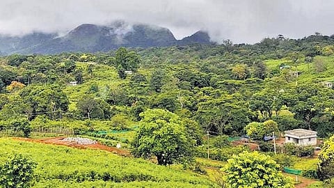 Bhagavathi Mooppan Tribal Colony