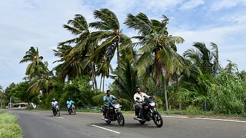 The initiative, led by the Tamil Nadu Green Climate Company under the Department of Environment, Climate Change and Forests, was developed in collaboration with the Vasudha Foundation, a think tank.
