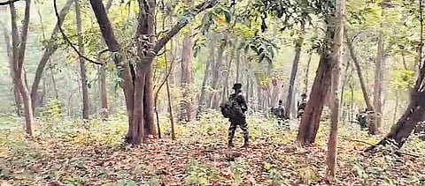A combing operation is underway in a forest along the Odisha-Jharkhand border 