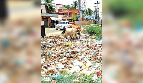Landowners are now required to regularly monitor their properties to ensure that garbage, construction debris, overgrown vegetation, and stagnant water are cleared promptly. 