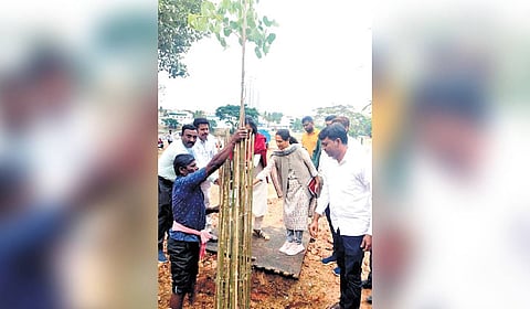 Around  2,000 saplings were planted at Arekere Lake in Bommanahalli recently.