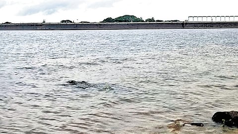 This is the first time in 19 years that the water body is in its full glory in the month of May.