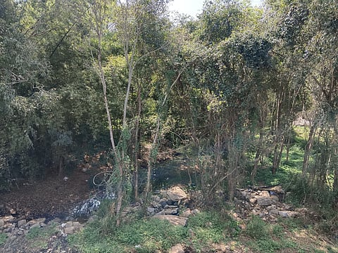 The core of the gathering is the concern over a recent government proposal to reduce the protected buffer zone around the river from 1 kilometre to just 30 metres— a move which could allow real estate and industrial encroachment, endangering the river’s already fragile state. 