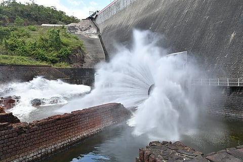 Water gushing out from the Papanasam dam on Tuesday. It will boost kuruvai cultivation under the Thamirabarani irrigation system in Tirunelveli district 