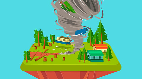 Recalling nature's fury on canvas