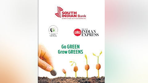 A sachet of vegetable seeds will be delivered at the house of each and every reader of The New Indian Express along with Thursday’s newspaper.