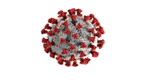 The state health department has tested 20,468 samples since January 1 this year, out of which 2,108 returned positive.