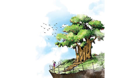 The campaign of Vedanta Lanjigarh targets plantation of over one lakh fruit-bearing saplings in the two districts which would benefit around 30,000 rural families.