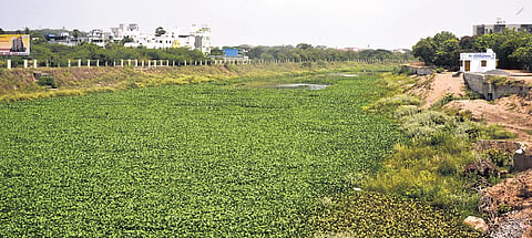 The project aims to enhance water quality by eliminating illegal sewage discharge, improving flood resilience, and creating green public spaces along the riverbanks.