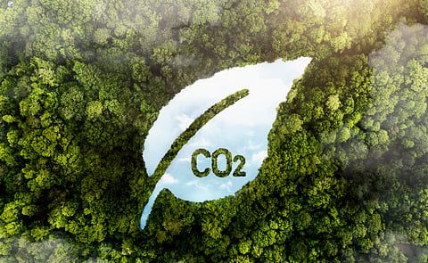 Embed Indian carbon market
in global trade context