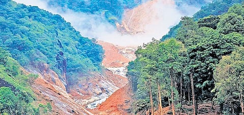 A joint team from the District Disaster Management Authority and the Mundakkai forest station confirmed that the landslide was of moderate scale 