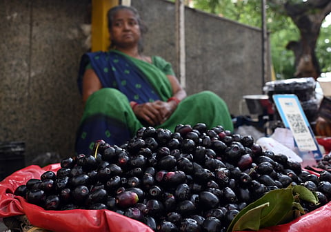 An elderly street vendor selling jamuns in New Delhi