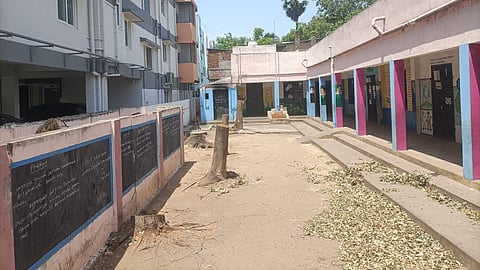 The move has drawn criticism from environmentalists, parents, and civic groups, especially as it came just days before World Environment Day  ( June 5), 