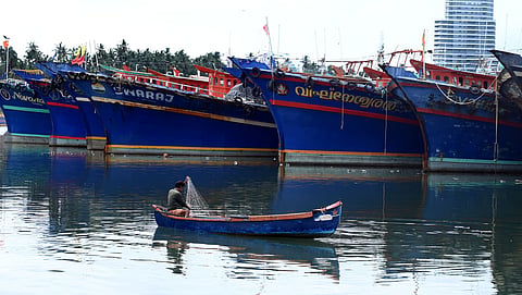 At present, Tamil Nadu, along with other east coast states, imposes a fishing ban from April 15 to June 14 every year to allow commercially important marine species to breed and replenish. 