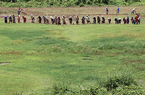 In Tummala village of Repalle mandal, canal restoration is being carried out under the Employment Guarantee Scheme. 
