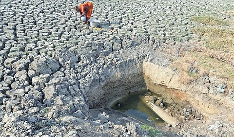 Officials said the intense heat has led to heavy extraction of groundwater for both irrigation and domestic purposes. 