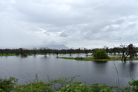he Narasamapathi Lake in the Coimbatore City Municipal Corporation (CCMC) which is the least polluted water body in the city limits, is set to reach its full storage capacity for the first time this year. 