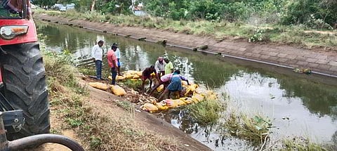 Farmers in Madathukulam, Tiruppur district, have alleged that untreated sewage from coir factories is being mixed into the Raja Vaikkal (main irrigation canal).