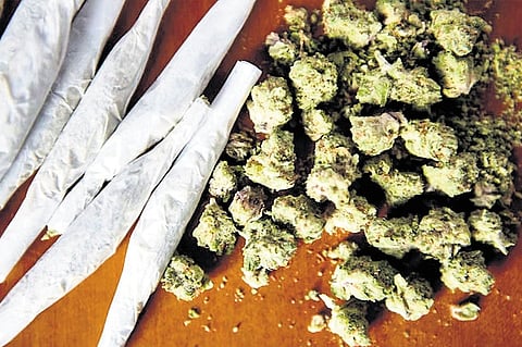 Image used for representative purpose.