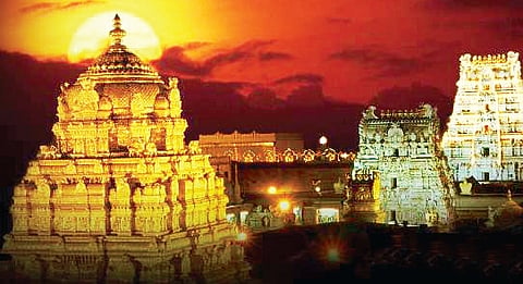 Pilgrims can collect the printed receipt and proceed to the laddu counters to receive their laddus. 