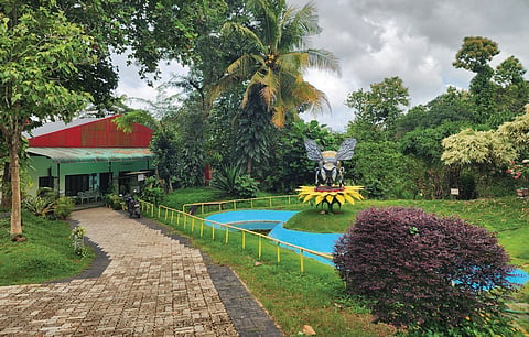 The honey bee park set up at Thazhakkara in Mavelikkara 