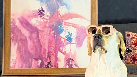 The family then designed a pet-friendly brush that could fit in Dali’s mouth. At seven months old, she dipped it into watercolour for the first time and made her debut artwork. 