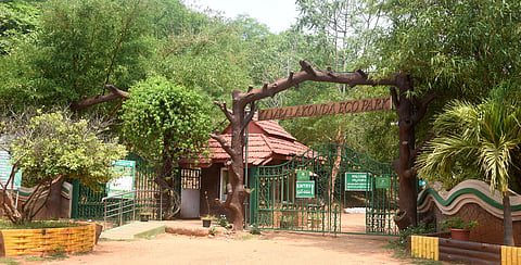 Kambalakonda Wildlife Sanctuary in Visakhapatnam. 