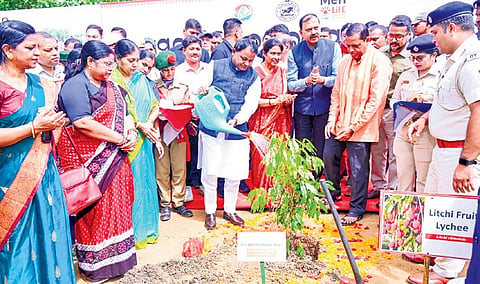CM Majhi watering a plant on the occasion of 76th Van Mahotsav Week.