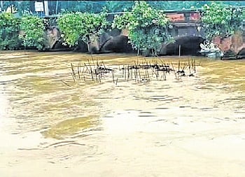 Jalaka river flowing at Mathani.