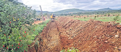 The land at Chikkanayakanahalli was occupied by encroachers for decades and was restored as forest land recently 