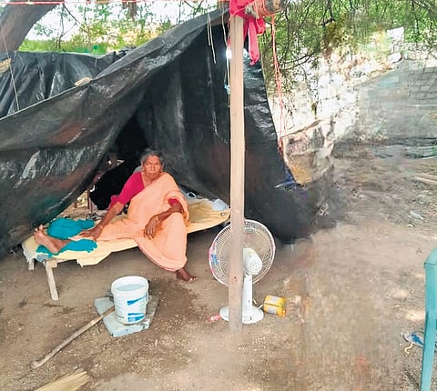 80-year-old Laxmamma taking shelter in a makeshift house at Haliya  