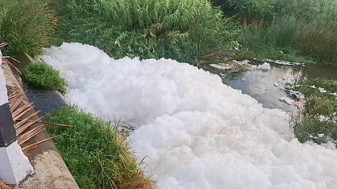 The Palar, which passes through Vellore, Ranipet, Tirupattur and other districts, has been severely polluted due to untreated waste being discharged into the river from tanneries. 
