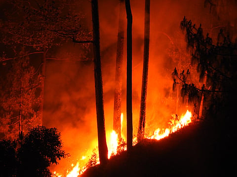 In stark contrast, the Uttarakhand Forest Department claims that only 58,000 hectares have been affected by forest fires over the past 25 years.