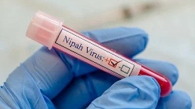 The heightened alert follows the death of a native of Changaleeri in Mannarkkad, Palakkad district, who was confirmed to have shown symptoms consistent with the Nipah virus. 