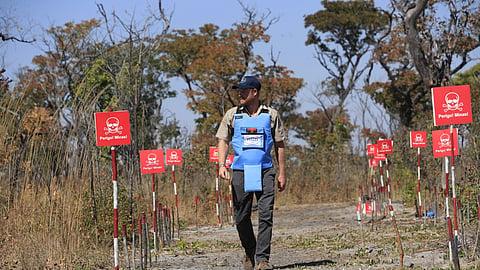 Britain's Prince Harry walks through a minefield during a visit to see the work of landmine clearance charity of the Halo Trust, in Cuito Cuanavale, Cuando province, southern Angola, Wednesday, July 16, 2025.
